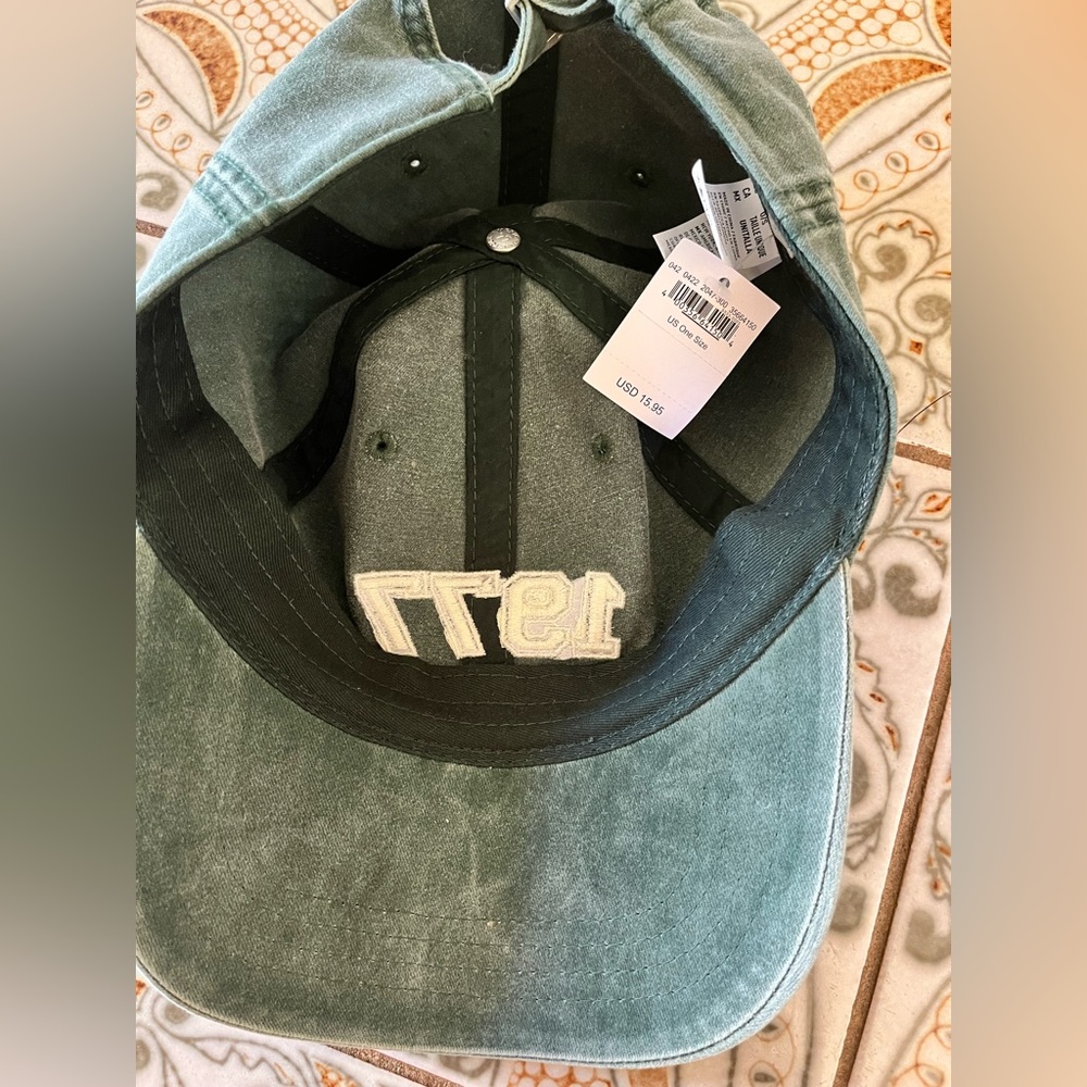 Nwt AE baseball hat - Picture 2 of 2